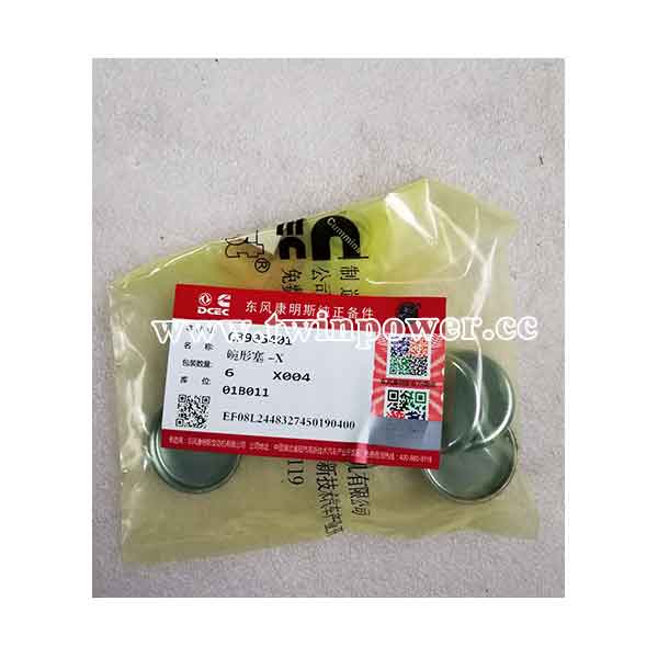 Cummins Expansion Plug C3905401,DCEC