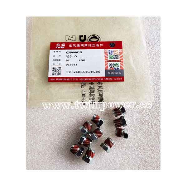 Cummins Pipe Plug C3906619,DCEC