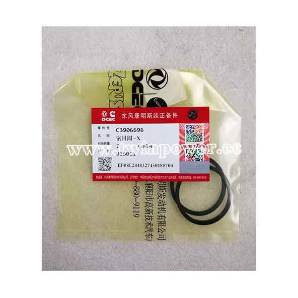 Cummins Rectangular Ring Seal C3906696,DCEC