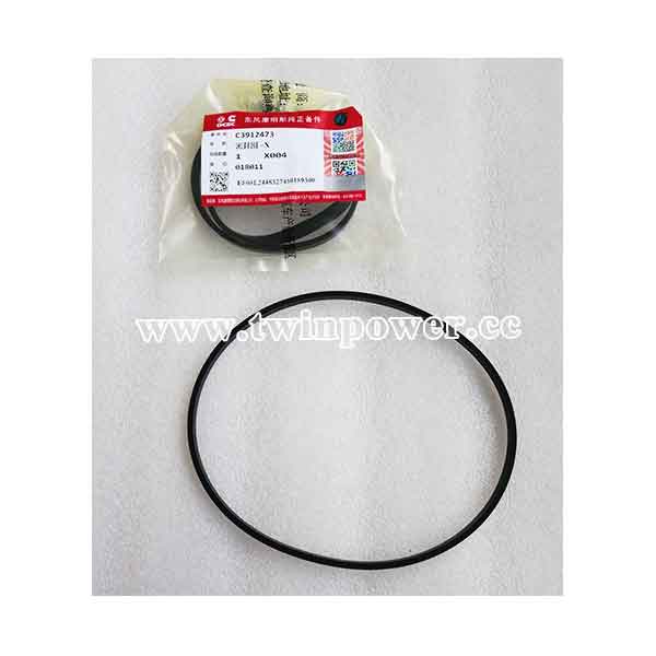 Cummins O Ring Seal C3912473,DCEC