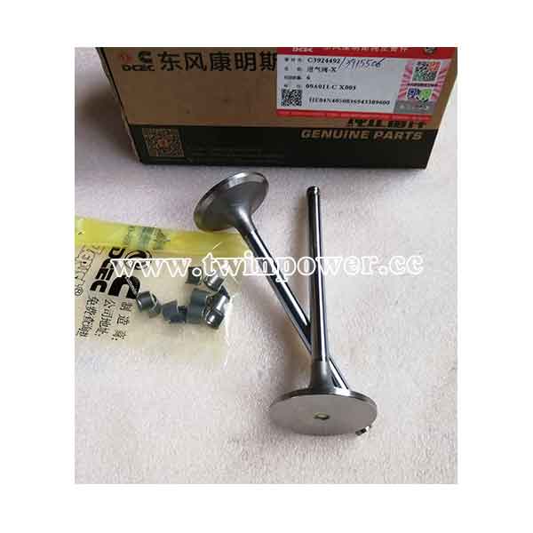 Cummins Intake Valve C3915506,DCEC