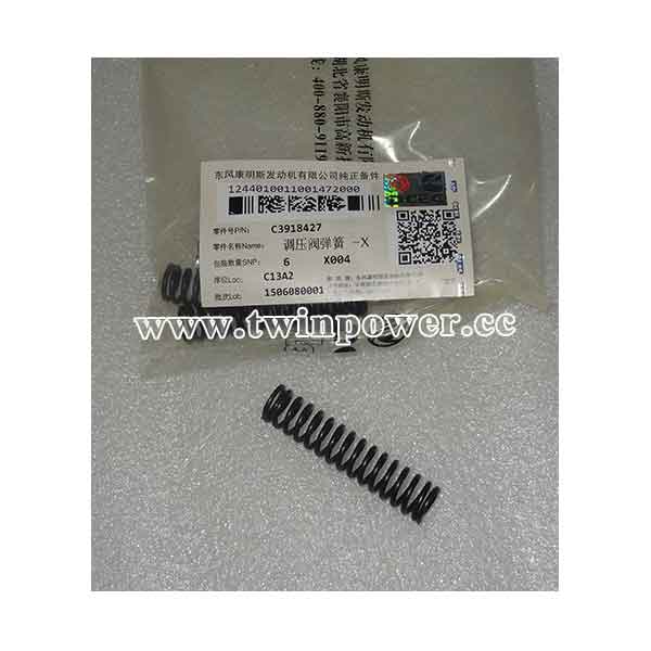 Cummins Compression Spring C3918427,DCEC
