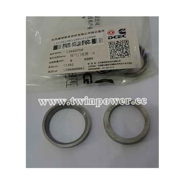 Cummins Valve Insert C3922716,DCEC