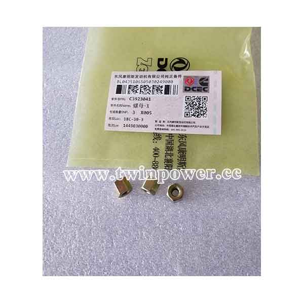 Cummins Lock Nut C3923041,DCEC