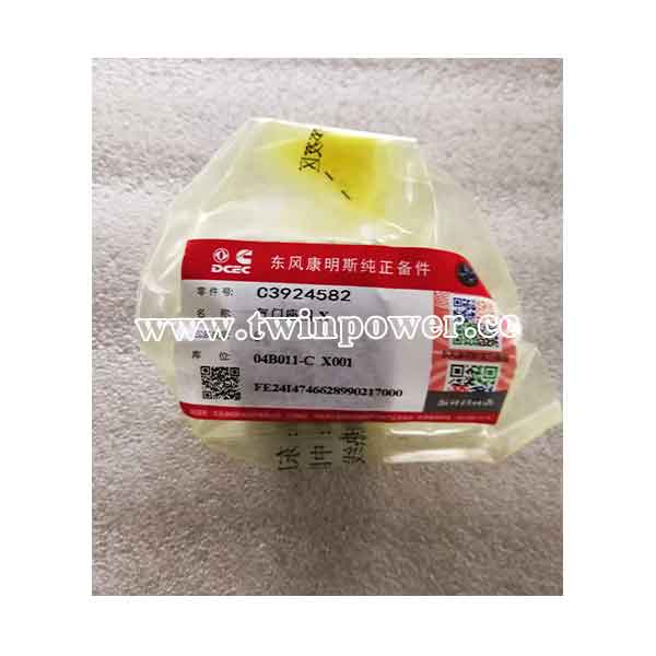 Cummins Valve Insert C3924582,DCEC