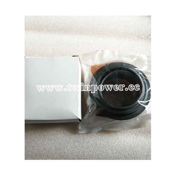 Cummins Seal Kit 3925343