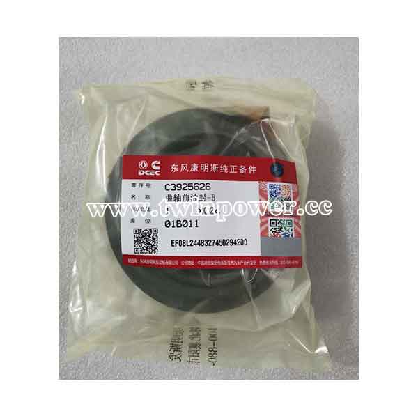 Cummins Seal Kit C3925626,DCEC