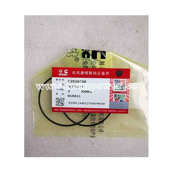 Cummins O Ring Seal C3926048,DCEC