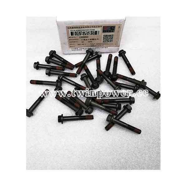 Cummins Hex Flange Head Cap Screw C3926863,DCEC