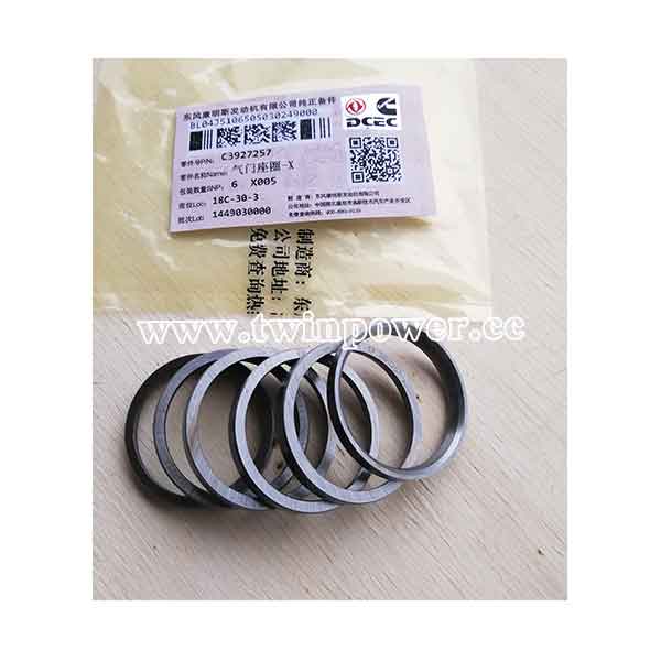 Cummins Valve Insert C3927257,DCEC