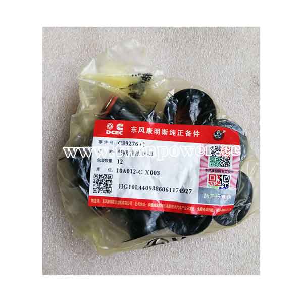 Cummins Valve Stem Seal C3927642,DCEC