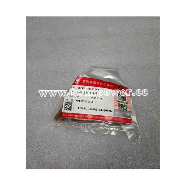 Cummins Piston Cooling Nozzle C3928031,DCEC
