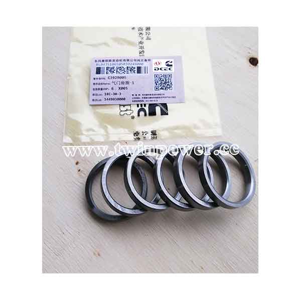 Cummins Valve Insert C3929005,DCEC