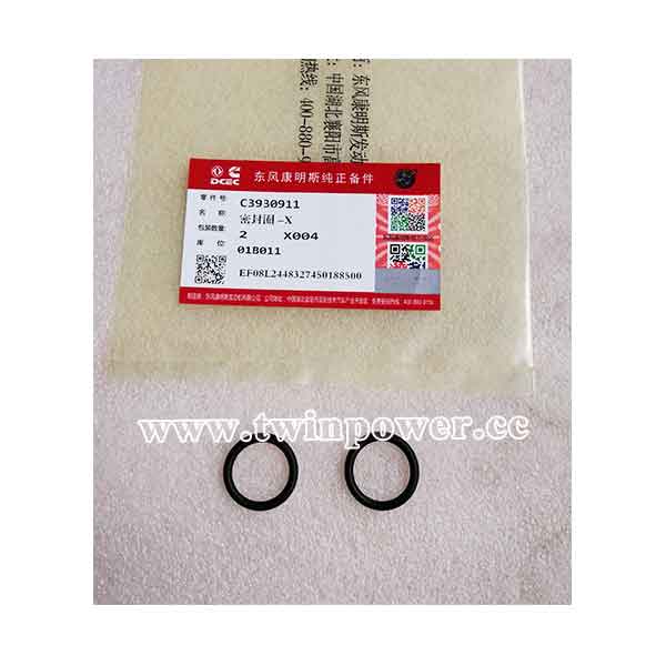 Cummins O Ring Seal C3930911,DCEC