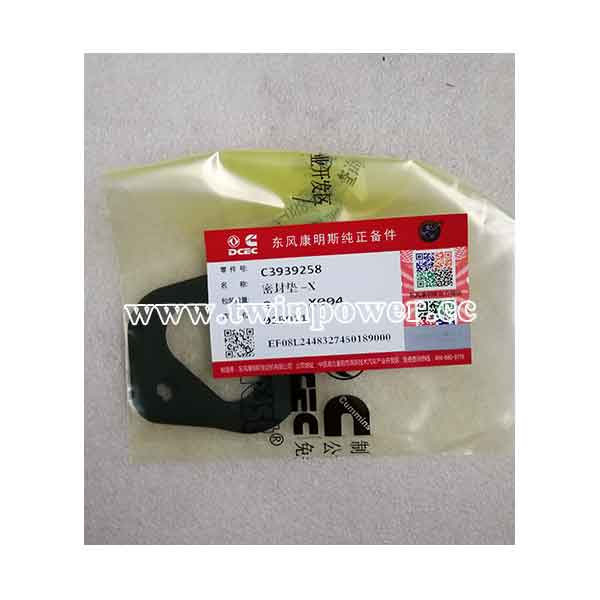 Cummins Cover Plate Gasket C3939258,DCEC