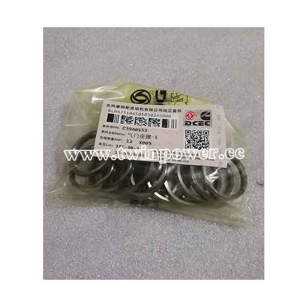 Cummins Valve Insert C3940153,DCEC