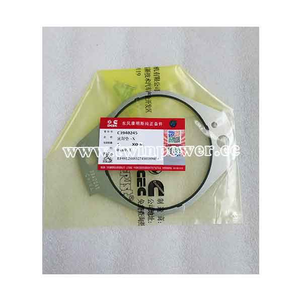 Cummins Hydraulic Pump Gasket C3940245,DCEC