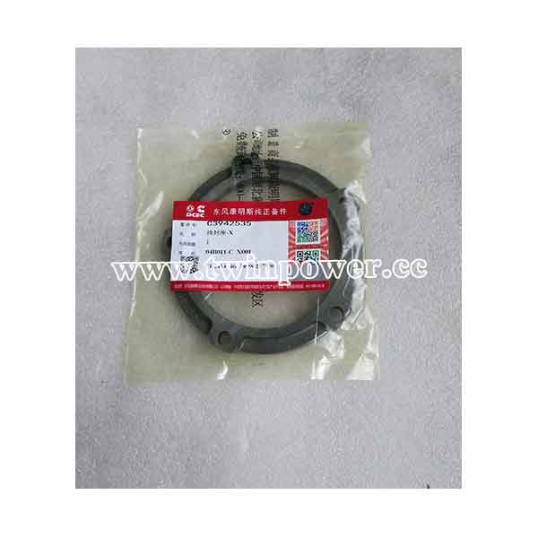 Cummins Oil Seal C3942535,DCEC