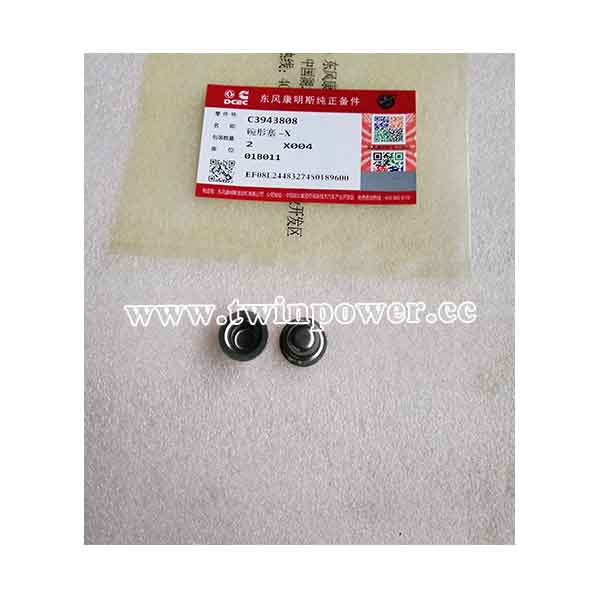 Cummins Expansion Plug C3943808,DCEC