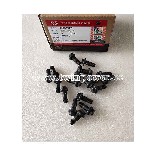 Cummins Banjo Connector Screw C3964817,DCEC