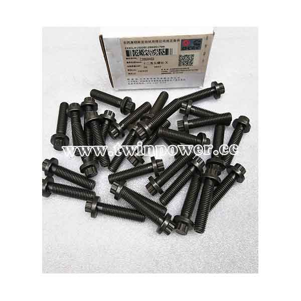 Cummins Twelve Point Cap Screw C3968466,DCEC
