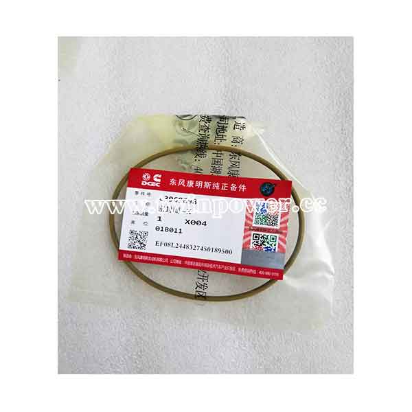 Cummins O Ring Seal C3969698,DCEC