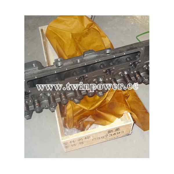 Cummins Cylinder Head 3973493
