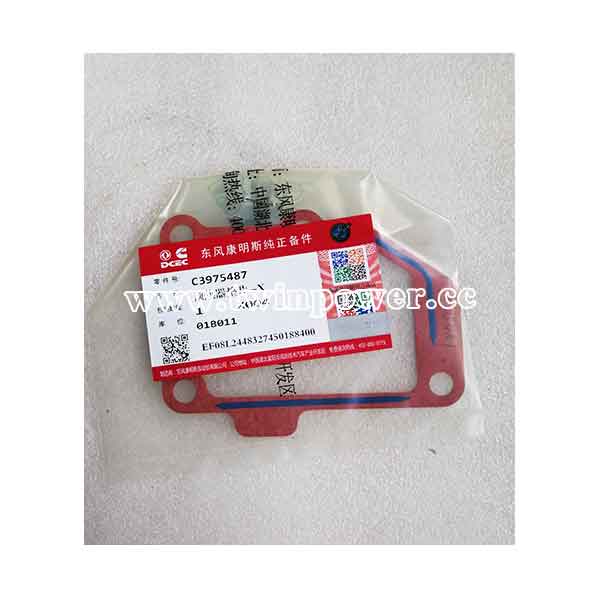 Cummins Connection Gasket C3975487,DCEC