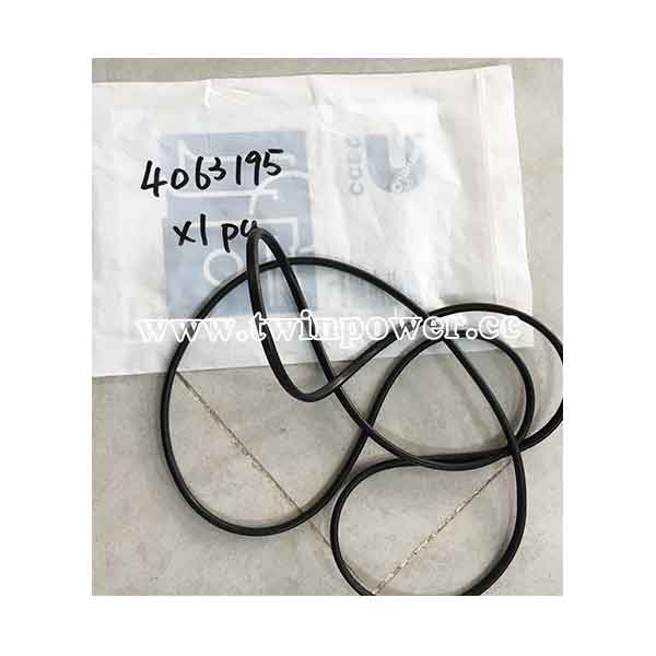 Cummins O Ring Seal 4063195,CCEC