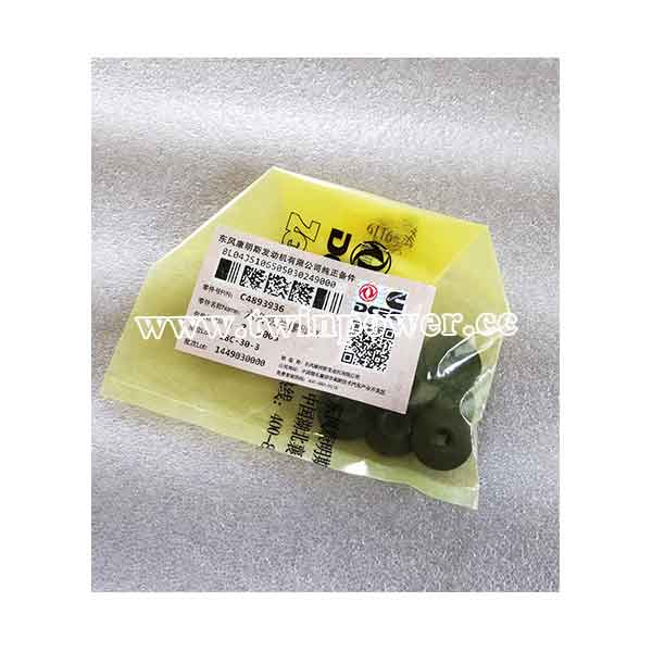 Cummins Hexagon Flange Nut C4893936,DCEC