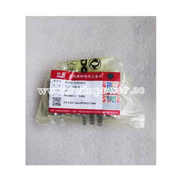 Cummins Valve Stem Guide C4934063,DCEC