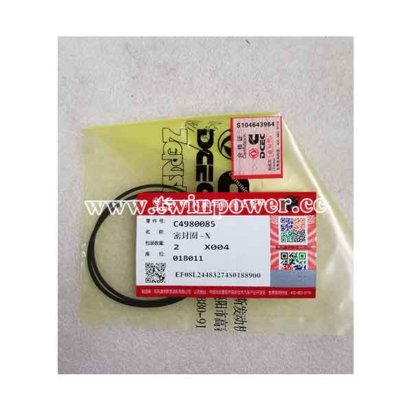 Cummins Rectangular Ring Seal C4980085,DCEC