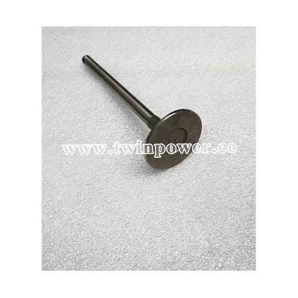 Cummins Exhaust Valve 6204414210