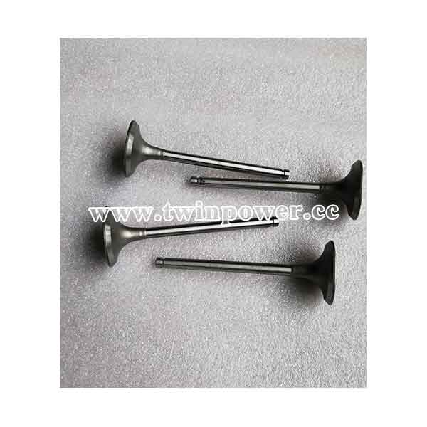 Cummins Intake Valve 6207414130