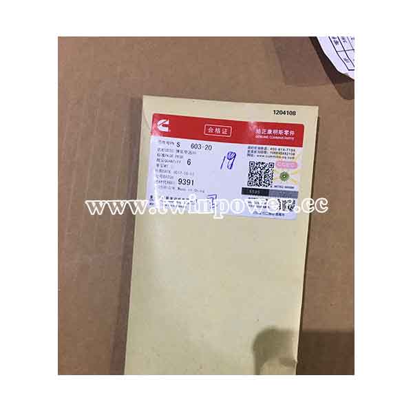Cummins Lock Washer S603-20,CCEC