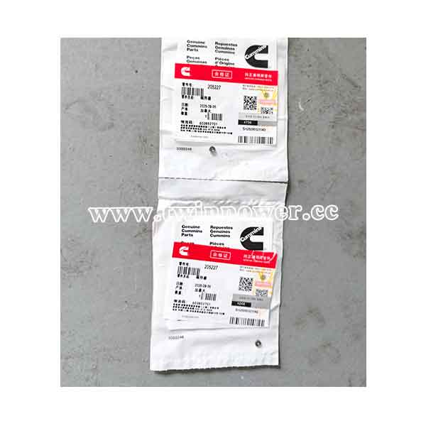 Cummins Expansion Plug 205227