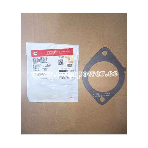 Connection Gasket 207515 20