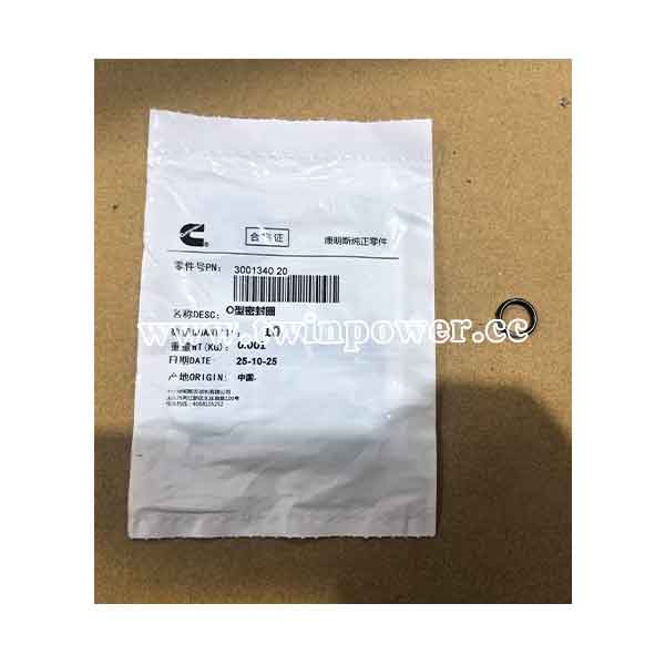 Cummins O Ring Seal 3001340 20
