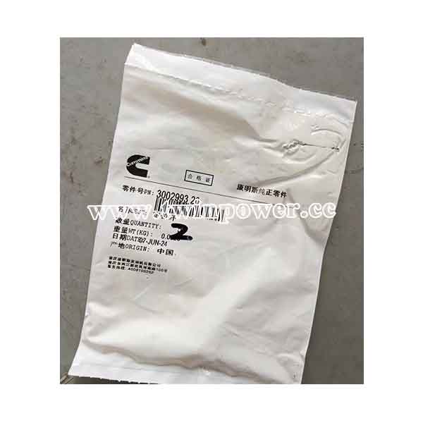 Cummins Ring Dowel 3002993 20