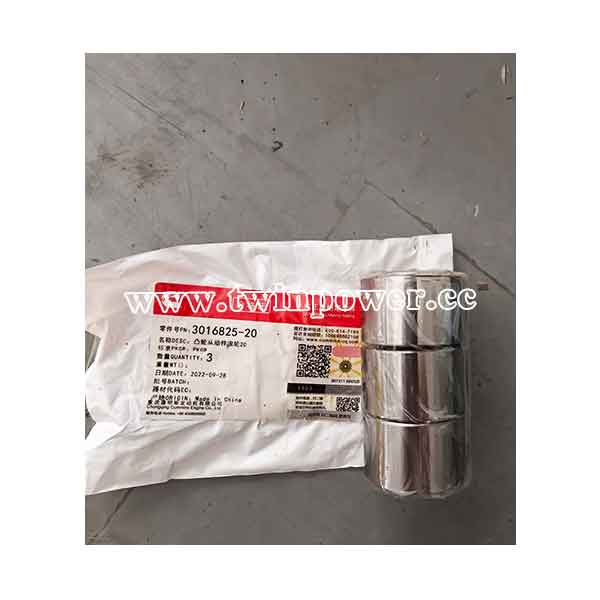 Cummins Cam Follower Roller 3016825 20