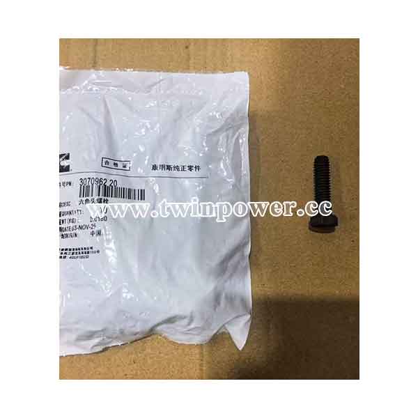 Hexagon Head Cap Screw 3070962 20