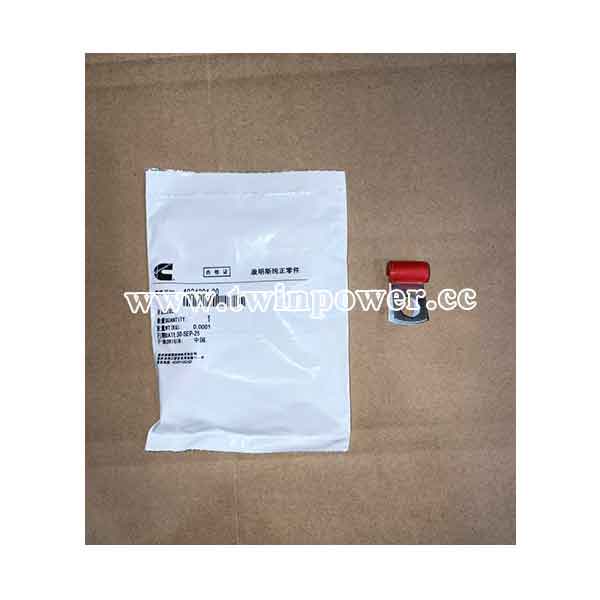 Cummins Clip 4924291 20