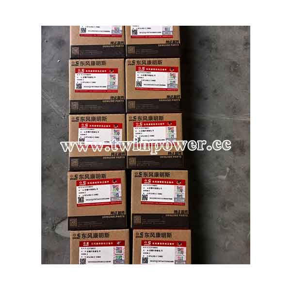 Cummins Piston Ring Kit C5718631