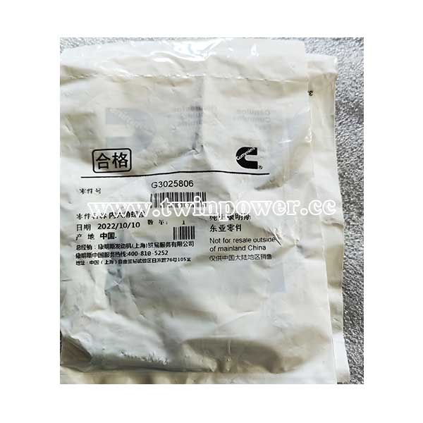 Cummins 3025806