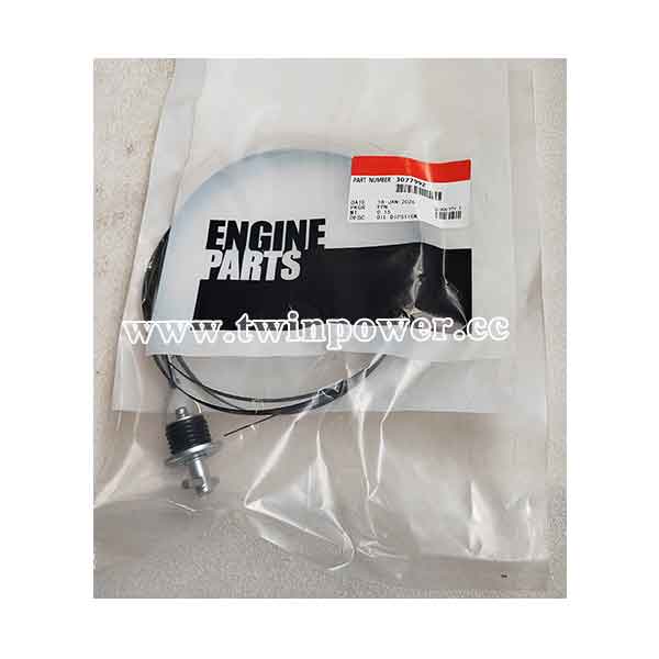 Cummins 3077992