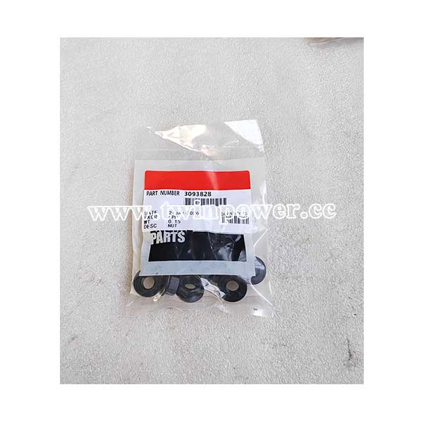Cummins Hexagon Flange Nut 3093828