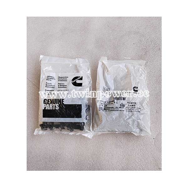 Cummins Screw 3900630