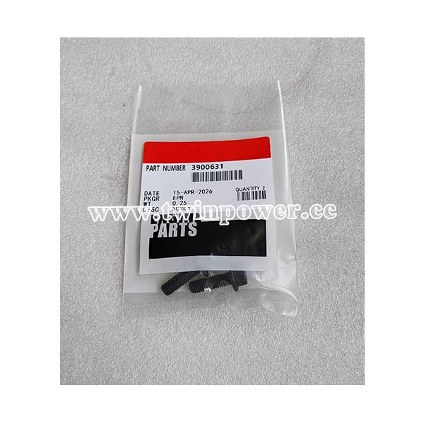 Cummins Screw 3900631