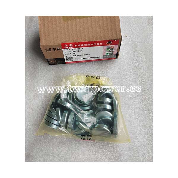 Cummins Expansion Plug 3900958