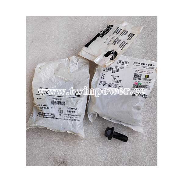 Cummins Screw 3902460